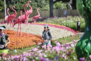 BIB: 
                            <button type="button" onclick="openModal(27793306)" class="btn btn-primary btn-sm float-right btn-popup" data-toggle="modal" data-target=".modal-high-quality">
                        <i class="fas fa-shopping-cart"></i> Add to Cart
                    </button>
                                            <button type="button" onclick="isThisMe(27793306, true)" class="btn btn-success btn-sm float-right btn-popup btn-isme hidden" data-toggle="tooltip" data-placement="bottom" title="นี่คือรูปของคุณใช่ไหม คลิกที่นี่เพื่อเอาเข้าอัลบั้ม">
                        <i class="fas fa-plus"></i> Add to album
                    </button>
                    <button type="button" onclick="isThisMe(27793306, false)" class="btn btn-warning btn-sm float-right btn-popup btn-isnotme hidden">
                        <i class="fas fa-ban"></i> Remove from album
                    </button>